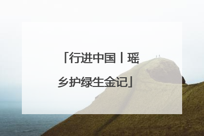 行进中国丨瑶乡护绿生金记