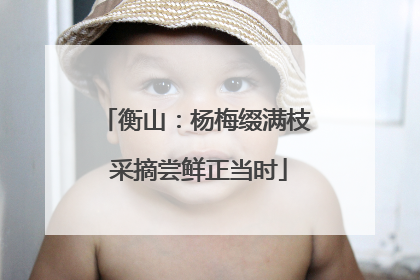 衡山：杨梅缀满枝 采摘尝鲜正当时