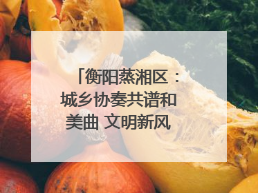 衡阳蒸湘区：城乡协奏共谱和美曲 文明新风劲拂蒸湘地