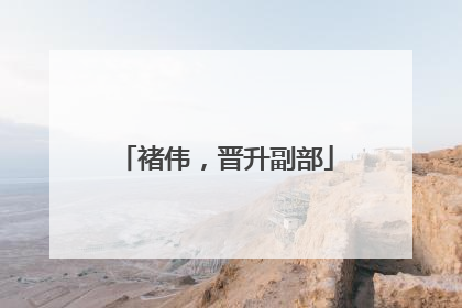 褚伟，晋升副部