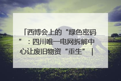 西博会上的“绿色密码”：四川唯一电网拆解中心让废旧物资“重生”｜西博寻“新”记