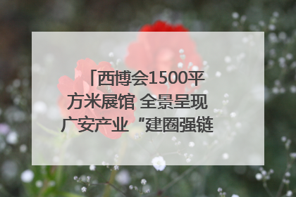 西博会1500平方米展馆 全景呈现广安产业“建圈强链”｜西博视界