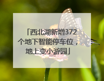西北湖新增372个地下智能停车位，地上变小游园