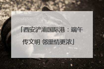 西安浐灞国际港：端午传文明 邻里情更浓