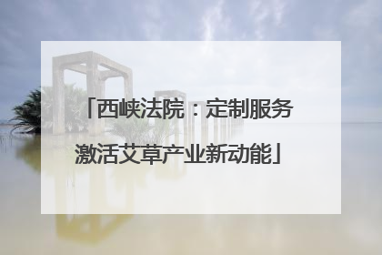 西峡法院：定制服务激活艾草产业新动能