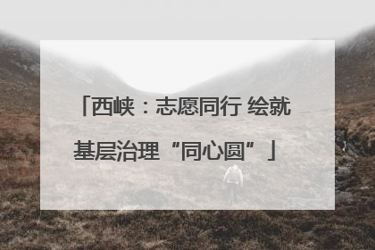 西峡：志愿同行 绘就基层治理“同心圆”