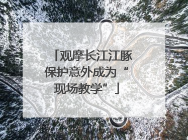 观摩长江江豚保护意外成为“现场教学”