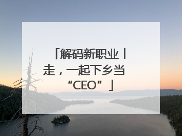 解码新职业丨走，一起下乡当“CEO”