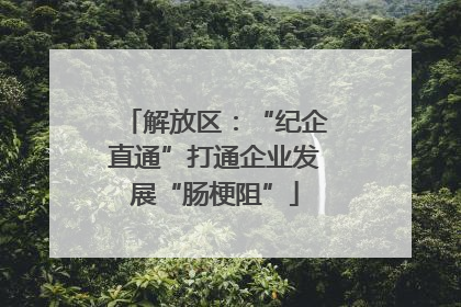 解放区：“纪企直通”打通企业发展“肠梗阻”