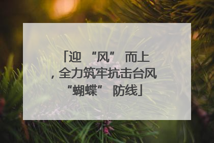 迎 “风” 而上，全力筑牢抗击台风 “蝴蝶” 防线