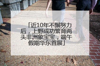 近10年不懈努力后，上野成功繁育两头非洲象宝宝，端午假期华东首展
