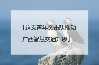 这支青年突击队推动广西智慧交通升级