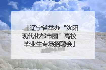 辽宁省举办“沈阳现代化都市圈”高校毕业生专场招聘会
