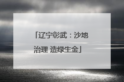 辽宁彰武：沙地治理 造绿生金