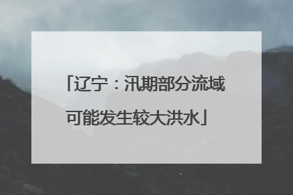 辽宁：汛期部分流域可能发生较大洪水