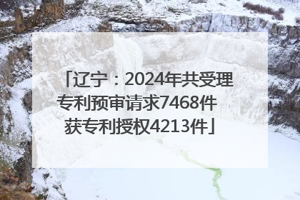 辽宁：2024年共受理专利预审请求7468件 获专利授权4213件