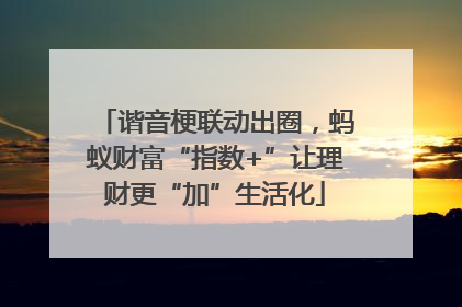 谐音梗联动出圈，蚂蚁财富“指数+”让理财更“加”生活化