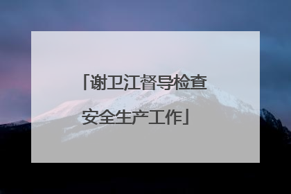 谢卫江督导检查安全生产工作
