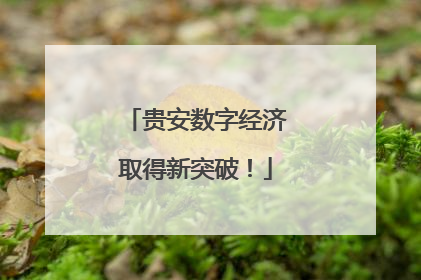 贵安数字经济取得新突破！