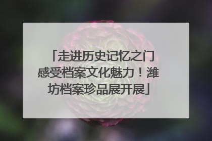 走进历史记忆之门 感受档案文化魅力！潍坊档案珍品展开展
