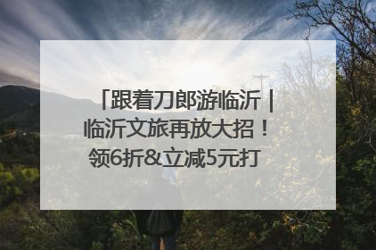 跟着刀郎游临沂｜临沂文旅再放大招！领6折&立减5元打车券，使用后还有2张5折券免费领！