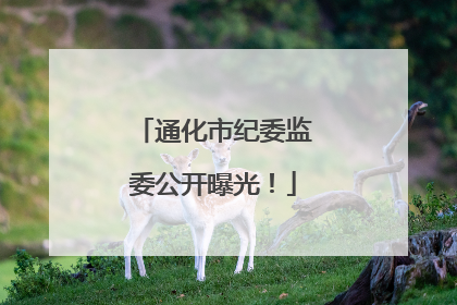 通化市纪委监委公开曝光！