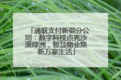 通联支付新疆分公司：数字科技点亮沙漠绿洲，智慧物业焕新万家生活