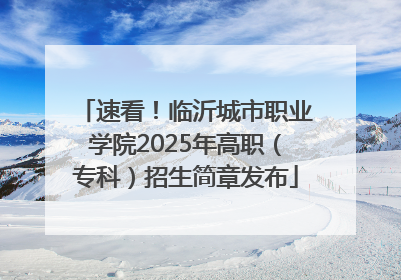 速看！临沂城市职业学院2025年高职（专科）招生简章发布
