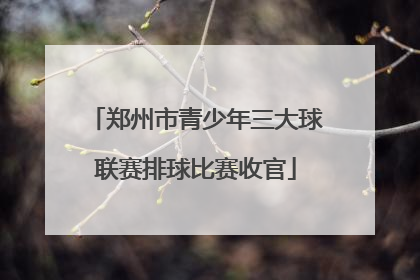 郑州市青少年三大球联赛排球比赛收官