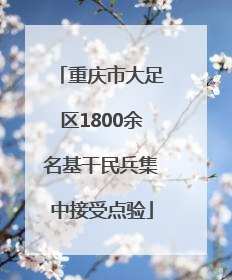 重庆市大足区1800余名基干民兵集中接受点验