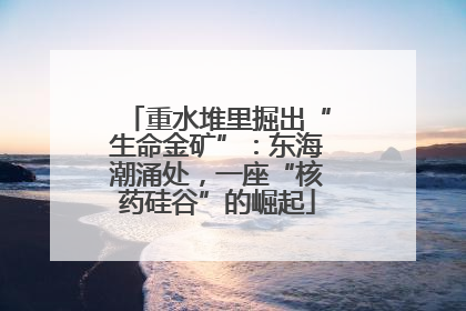 重水堆里掘出“生命金矿”：东海潮涌处，一座“核药硅谷”的崛起
