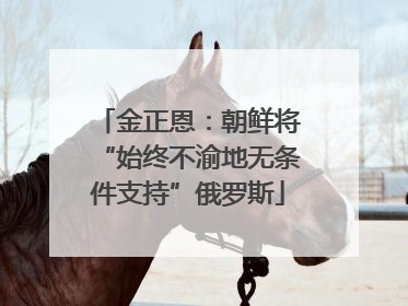 金正恩：朝鲜将“始终不渝地无条件支持”俄罗斯