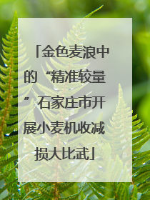 金色麦浪中的“精准较量”石家庄市开展小麦机收减损大比武