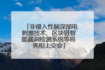 非侵入性脑深部电刺激技术、区块链智能漏洞检测系统等将亮相上交会