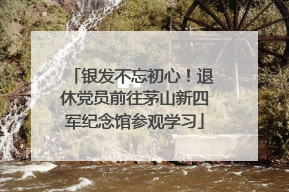 银发不忘初心！退休党员前往茅山新四军纪念馆参观学习