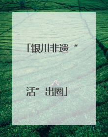 银川非遗“活”出圈