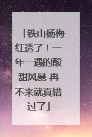铁山杨梅红透了！一年一遇的酸甜风暴 再不来就真错过了