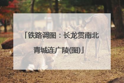铁路调图：长龙贯南北 青城连广陵(图)