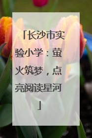 长沙市实验小学：萤火筑梦，点亮阅读星河