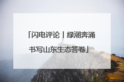 闪电评论丨绿潮奔涌 书写山东生态答卷