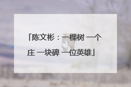 陈文彬：一棵树 一个庄 一块碑 一位英雄