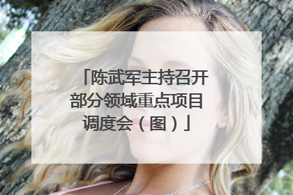 陈武军主持召开部分领域重点项目调度会（图）