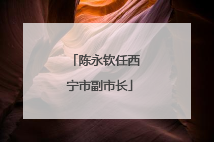 陈永钦任西宁市副市长