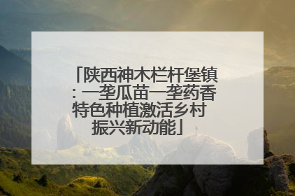 陕西神木栏杆堡镇：一垄瓜苗一垄药香 特色种植激活乡村振兴新动能