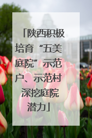 陕西积极培育“五美庭院”示范户、示范村 深挖庭院潜力