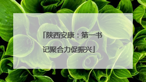 陕西安康：第一书记聚合力促振兴