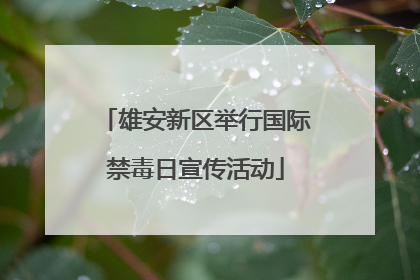 雄安新区举行国际禁毒日宣传活动
