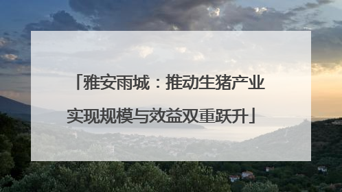 雅安雨城：推动生猪产业实现规模与效益双重跃升