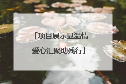 项目展示显温情 爱心汇聚助残行