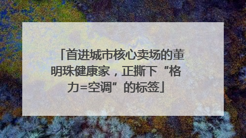 首进城市核心卖场的董明珠健康家，正撕下“格力=空调”的标签